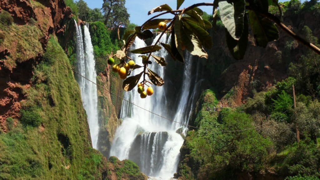 منتزه تازكة الوطني: الأطلس المتوسط يحكي قصته