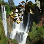 منتزه تازكة الوطني: الأطلس المتوسط يحكي قصته