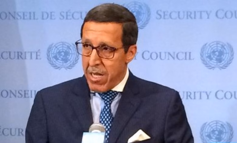 Omar Hilal in UN