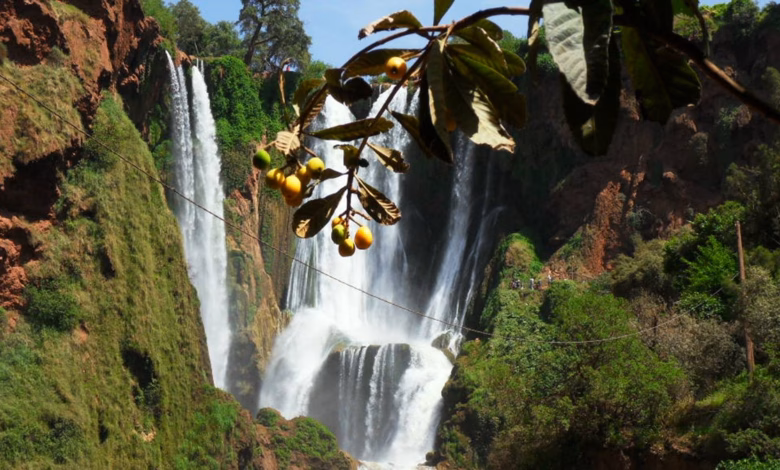 منتزه تازكة الوطني: الأطلس المتوسط يحكي قصته 8 Tazekka National Park4 1