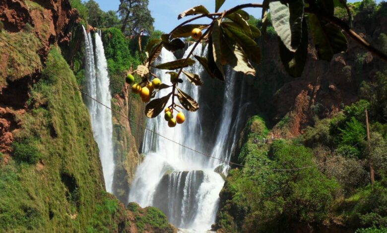 Tazekka National Park4 1