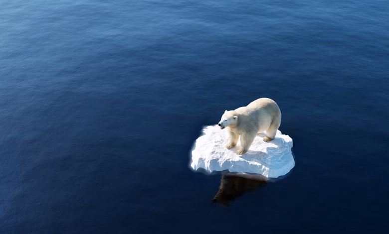 أثر التغير المناخي على الأمن الغذائي: ما بين ندرة قاتلة ووفرة مدمرة! 29 climate change2