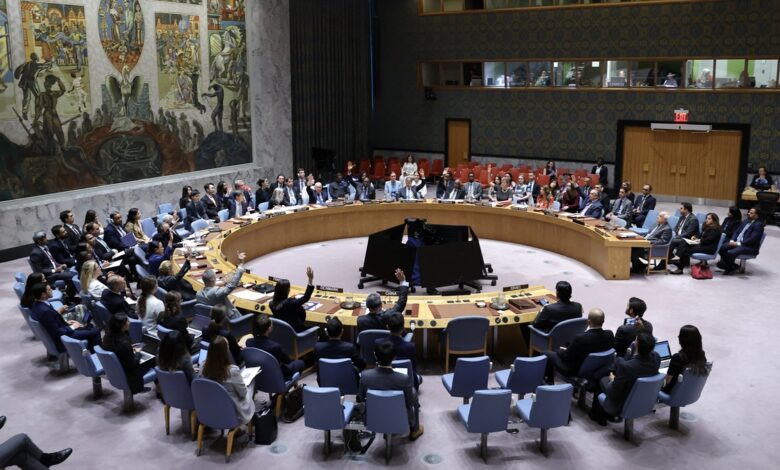 security council3