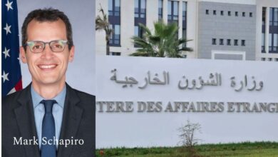 Schapiro Algeria