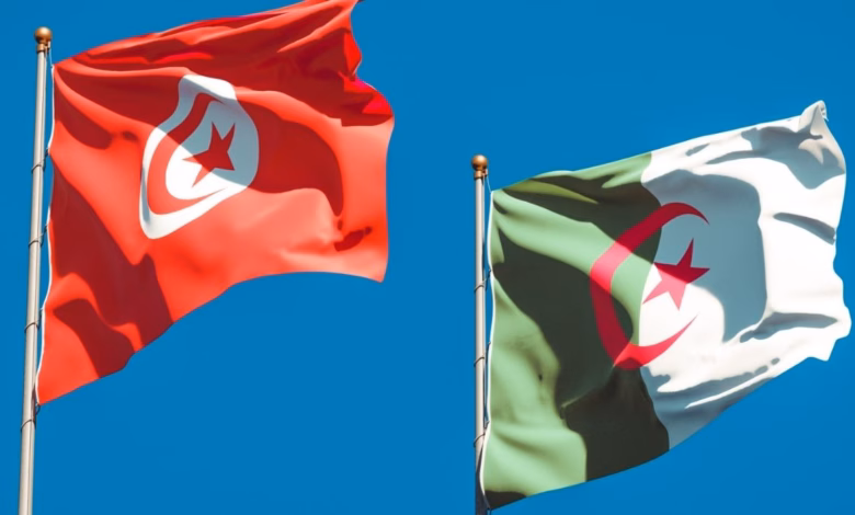 "السيادة المالية" في شمال إفريقيا: حين تتحول الشعارات إلى أدوات للبقاء السياسي 1 Algeria Tunisia flags
