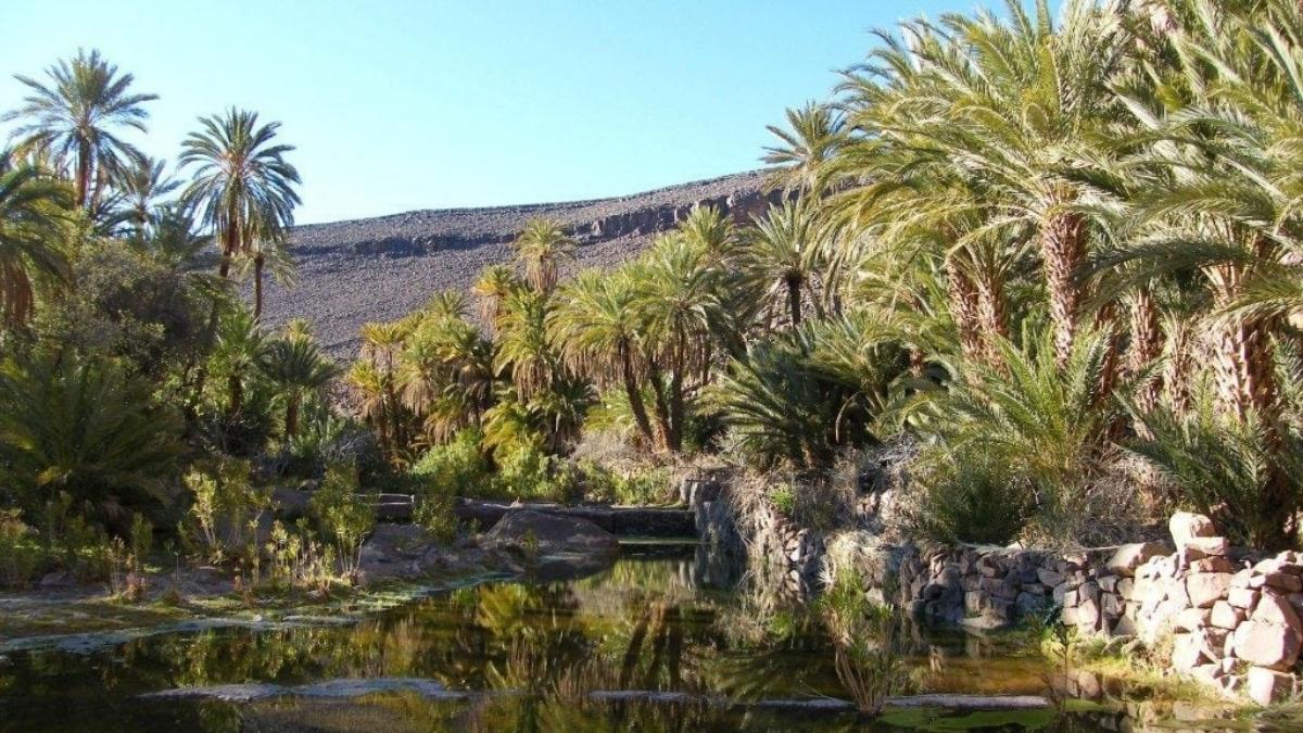 مدينة ورزازات المغربية: حيث تبدأ الحكاية… وتنفتح الصحراء على العالم 8 WARR