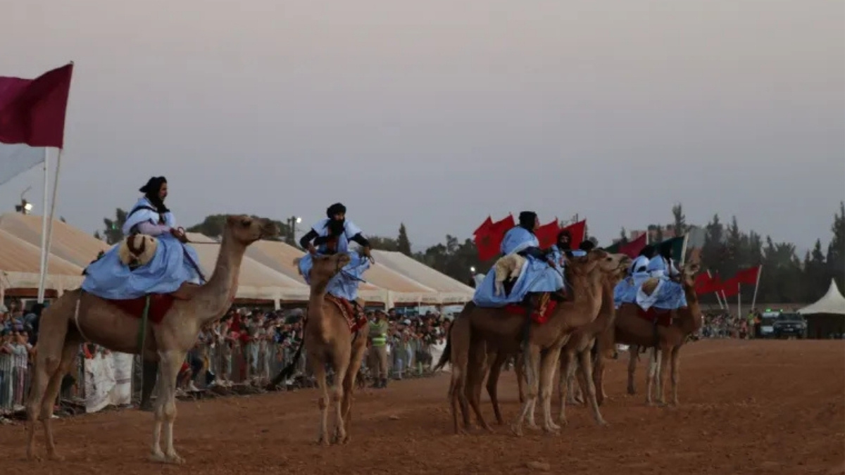 كلميم المغربية …عاصمة القوافل وجسر العبور إلى عمق الصحراء 8 COLM5