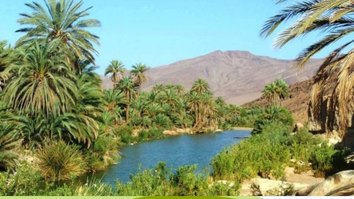 كلميم المغربية …عاصمة القوافل وجسر العبور إلى عمق الصحراء 7 COLM6