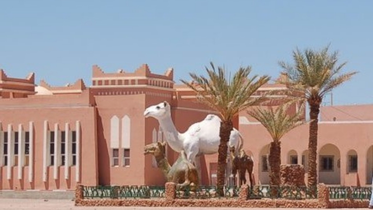 كلميم المغربية …عاصمة القوافل وجسر العبور إلى عمق الصحراء 5 XC 1