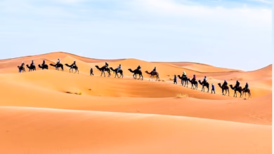 مرزوكة.. حين تتحول الرمال إلى سحرٍ لا ينتهي في قلب الصحراء المغربية 12 maz imp 1