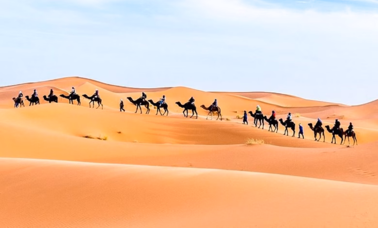 مرزوكة.. حين تتحول الرمال إلى سحرٍ لا ينتهي في قلب الصحراء المغربية 53 maz imp 1