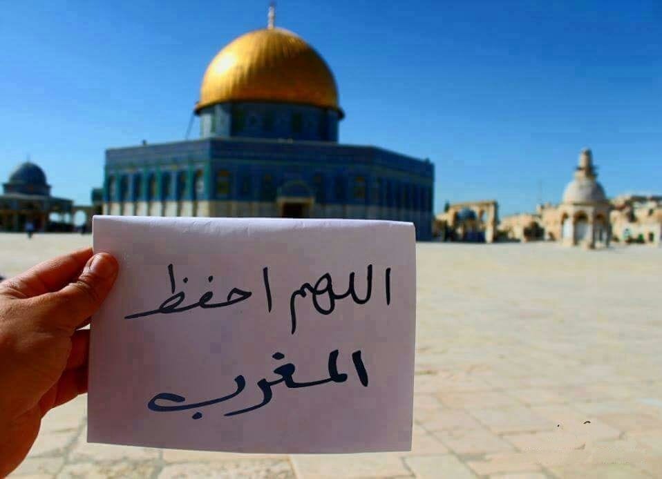 ما بين المغرب وفلسطين.. علاقة راسخة تتجاوز الجغرافيا وتتوحد في القضية 2 palestine Morocco