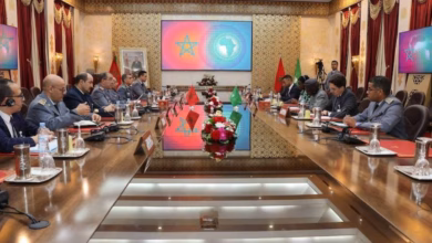 سر الاستثناء الأمني المغربي (6): ماذا يمكن للمغرب أن يقدم لقارته؟ 5 Security afric4