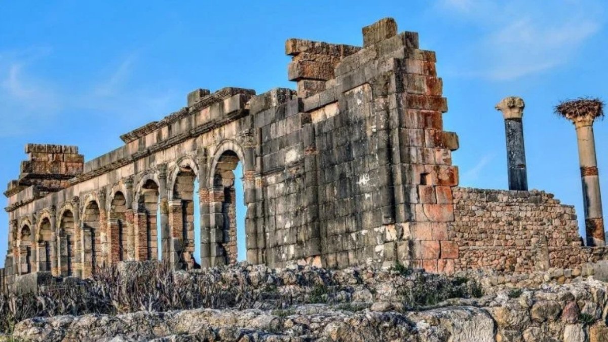 وليلي: ذاكرة المغرب القديمة التي تنبعث من جديد 2 VT