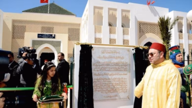من البيعة الروحية إلى الدبلوماسية المنظمة | كيف يدير المغرب إمبراطوريته الصوفية؟ 9 king mohammaed 6 open institut